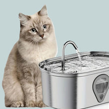 Charger l&#39;image dans la galerie, AQUAMIA : Fontaine Eau Chats et Chiens
